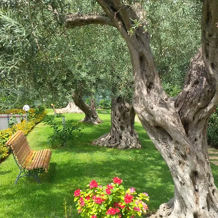 Collina Apartment Giardini-Naxos