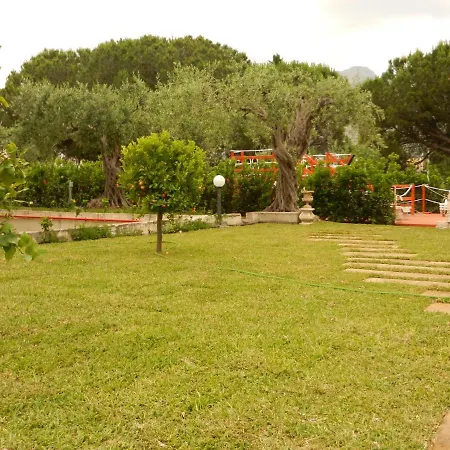 Apartment Collina