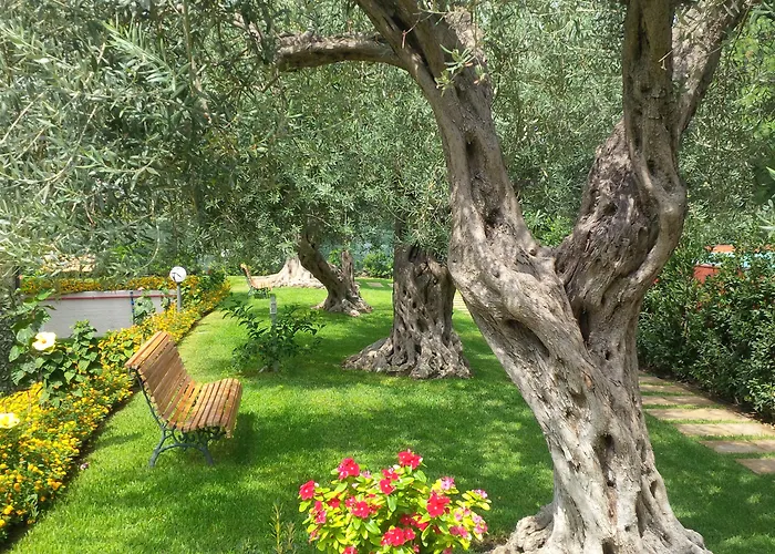 Collina Apartment Giardini-Naxos