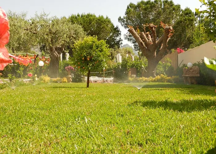 Collina Appartamento