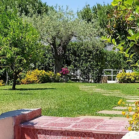 Collina Apartment