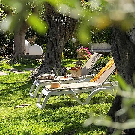 Apartment Collina *