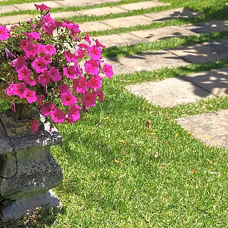 Collina Apartment Giardini-Naxos